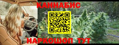 крисы Будённовск