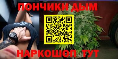 крисы Будённовск