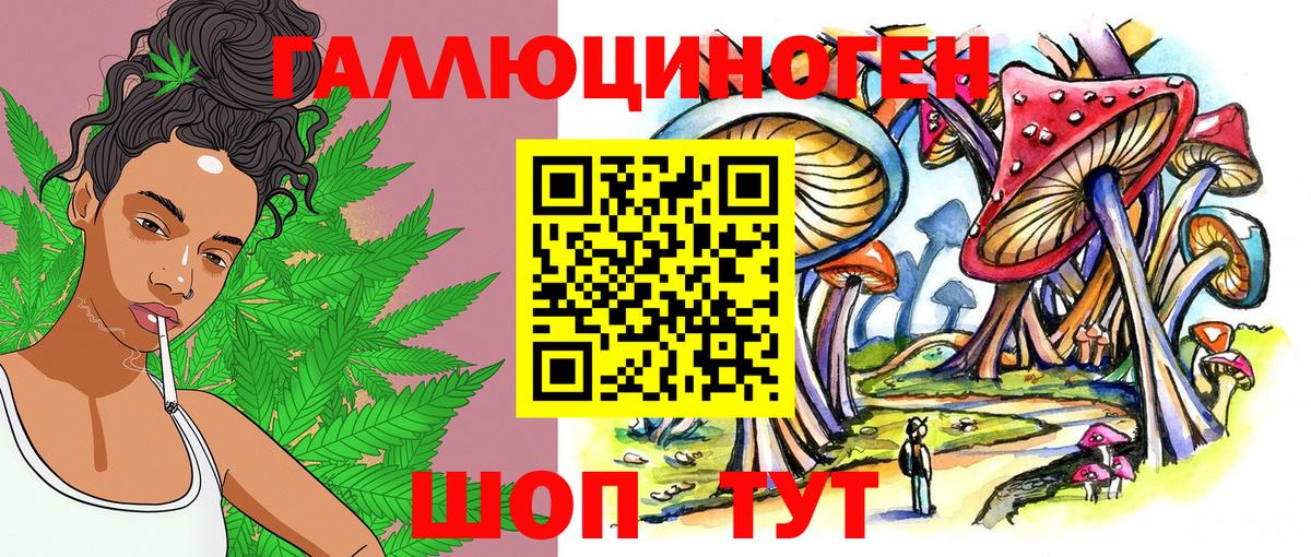 Галлюциногенные грибы MAGIC MUSHROOMS  Галлюциногенные грибы прущие грибы  Вход с VPN  Ростов-на-Дону 